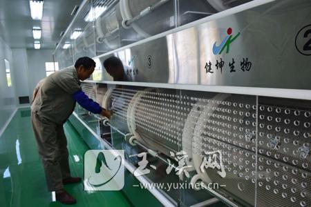 南片區：健坤生物生產調試中