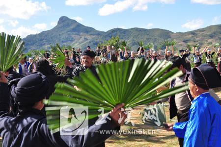 哈尼族“棕扇舞”被列入第三批國家級非物質(zhì)文化遺產(chǎn)名錄
