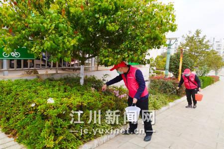 潔凈家園_副本