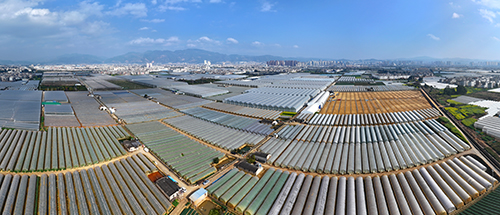 高原特色農業繪就發展新圖景.jpg