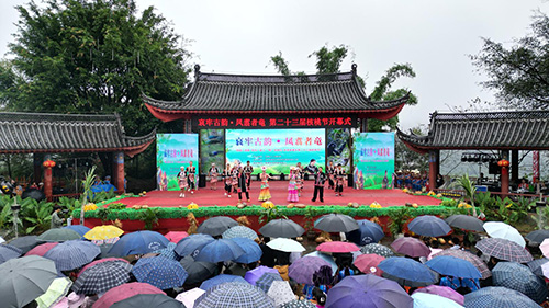 者竜鄉(xiāng)核桃節(jié)系列文化活動精彩紛呈.jpg