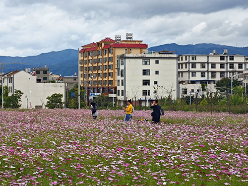 美麗玉溪文明游覽1.jpg