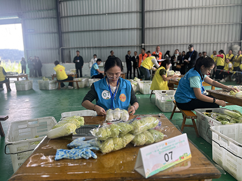 凈菜包裝賽開賽 助推云菜產業提質.jpg