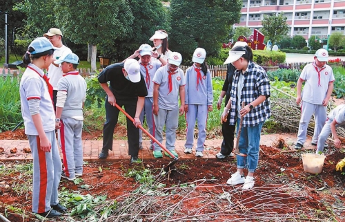 澄江市鳳山小學豐收節活動豐富多彩.jpg