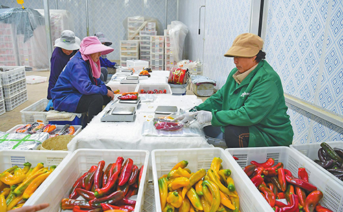 打造興業富民“新引擎”.jpg