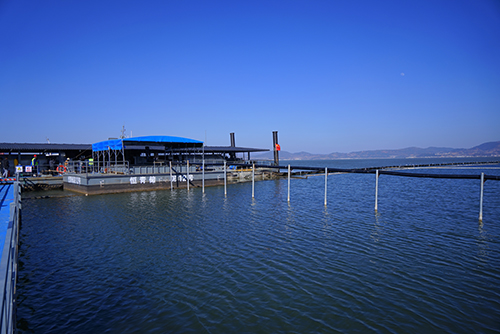 治杞麓湖生態(tài)難題 謀民生幸福之策4.jpg 治杞麓湖生態(tài)難題 謀民生幸福之策4.jpg