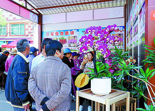 通海縣第十九屆迎春花街熱鬧開街1.jpg