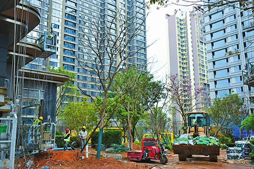 項目建設(shè)熱潮涌動.jpg
