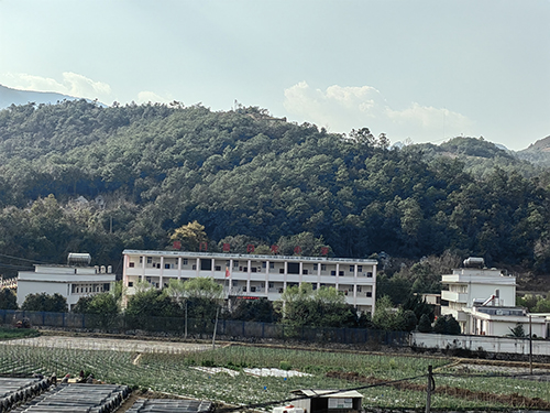 青春力量扎根基層 鄉村振興寫出新篇4.jpg
