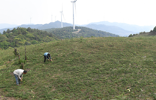 元江以獨(dú)特優(yōu)勢(shì)邁向高質(zhì)量發(fā)展.jpg
