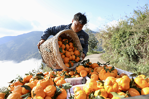 產業興旺 鄉村蝶變 大地豐收 生活富裕1.jpg