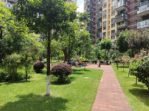 黨建領航善治路 城鄉共治惠民生3.jpg