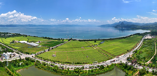 澄江：厚植生態底色做強文旅產業.jpg