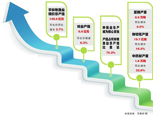 上半年玉溪農業經濟穩中向好.jpg